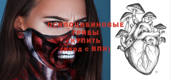 гашик Карталы